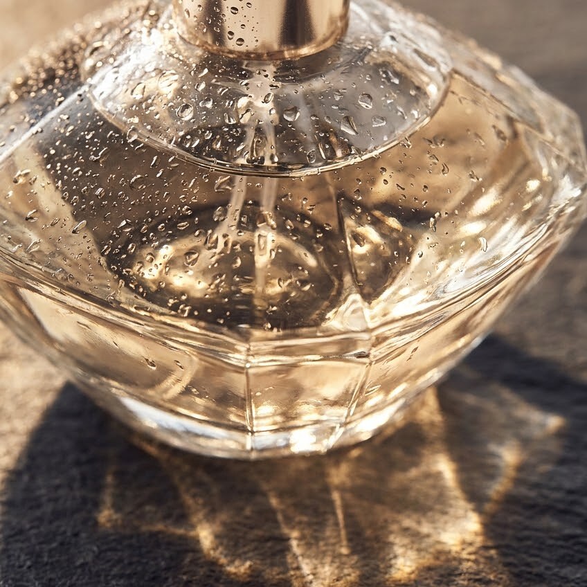 Every bottle, composed in small batches for those who seek something quieter